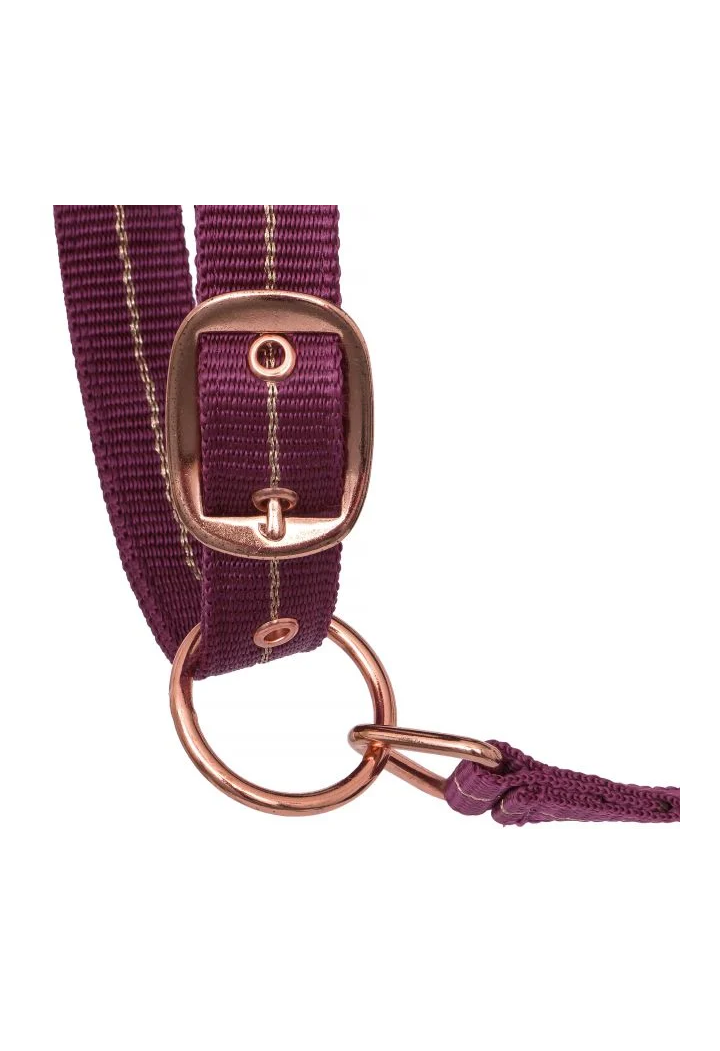 Halfter START Mink RoseGold