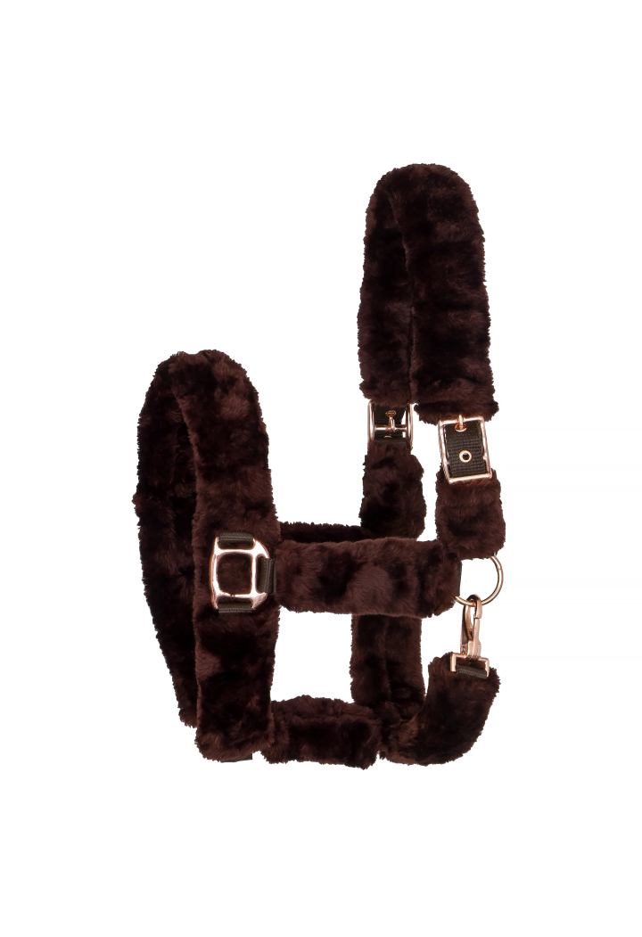 Halfter START Teddy RoseGold