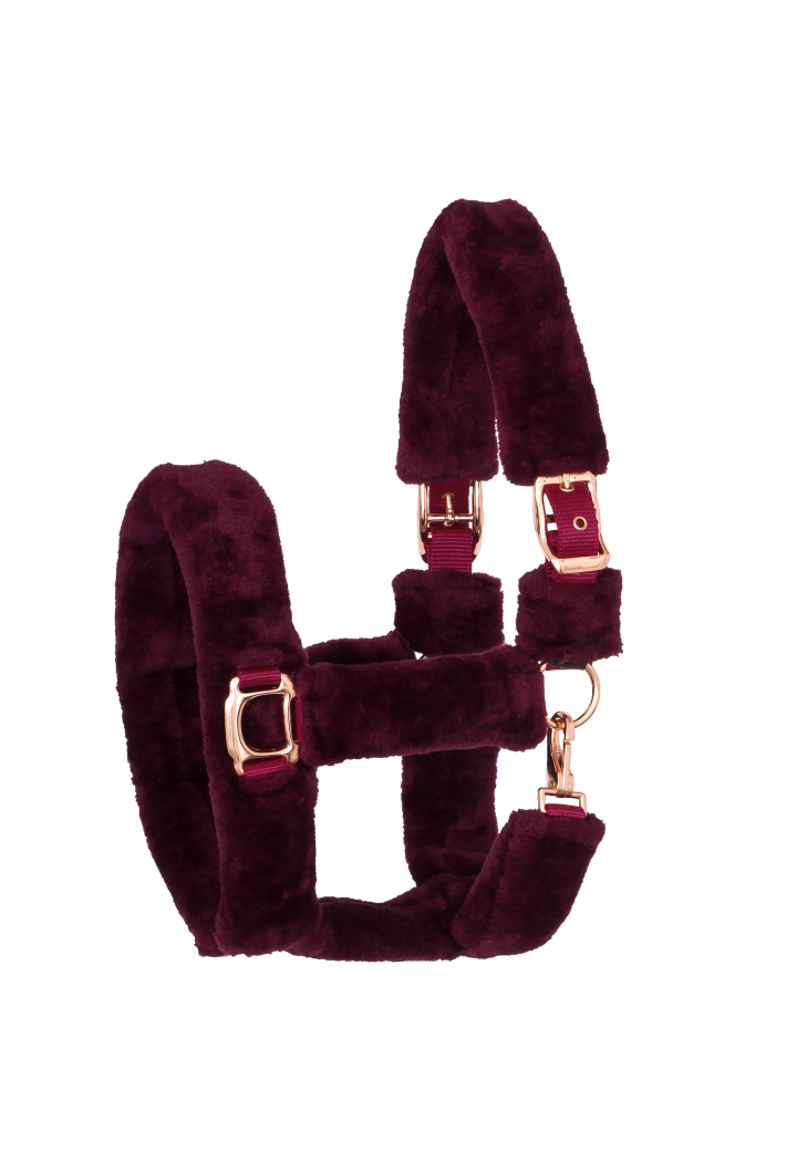 Cavezza START Teddy RoseGold