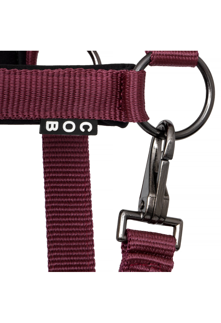 Headcollar START Satin