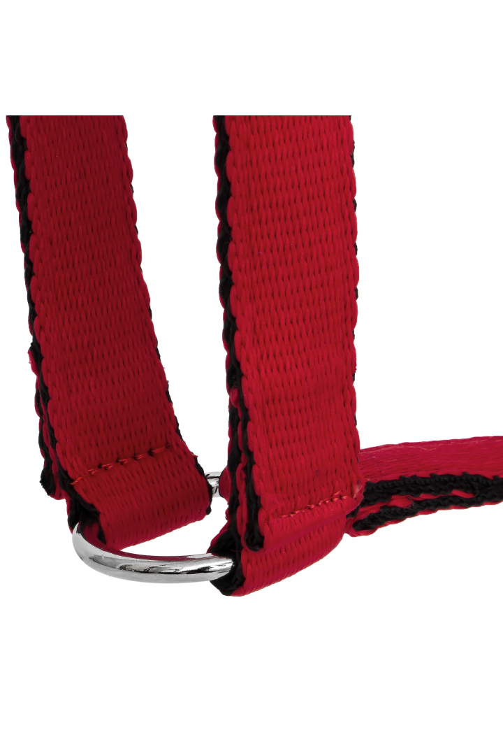 HORSE-TRADE Soft Neon headcollar