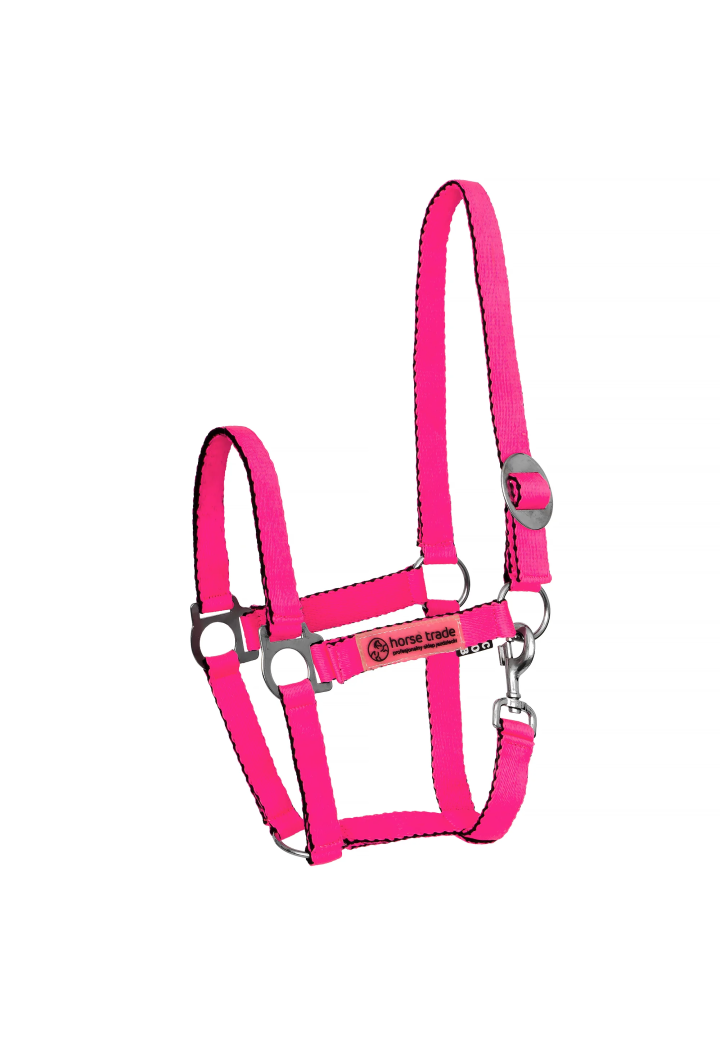 HORSE-TRADE Soft Neon Halfter