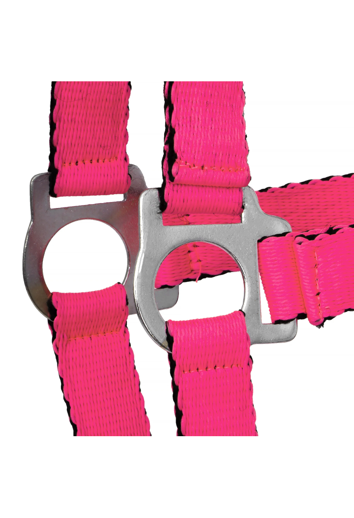 HORSE-TRADE Soft Neon Halfter