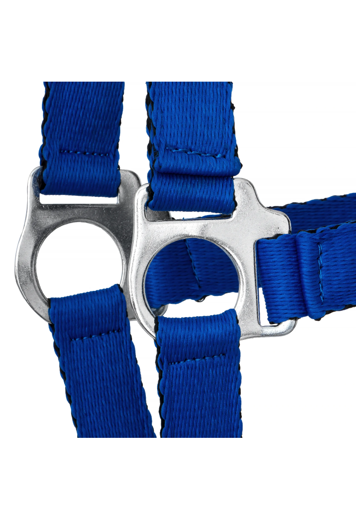 HORSE-TRADE Soft Neon Halfter