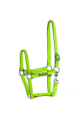 neon verde
