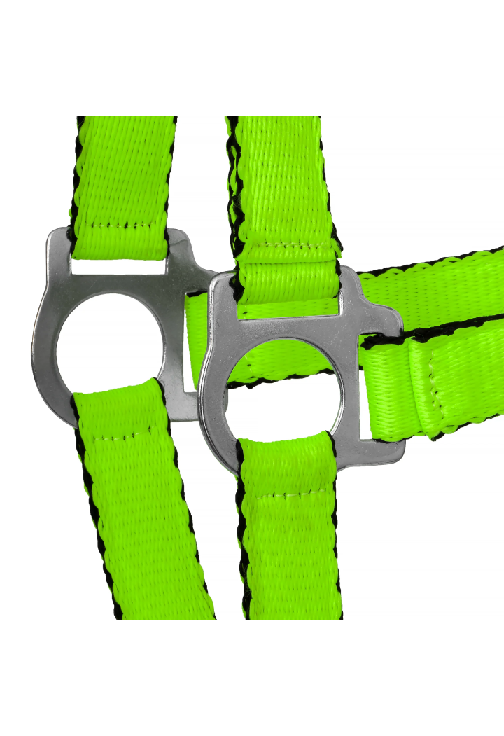 Cavezza HORSE-TRADE Soft Neon