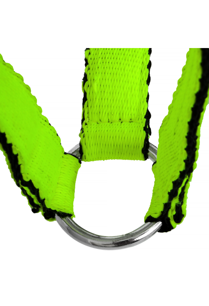 Ohlávka HORSE-TRADE Soft Neon