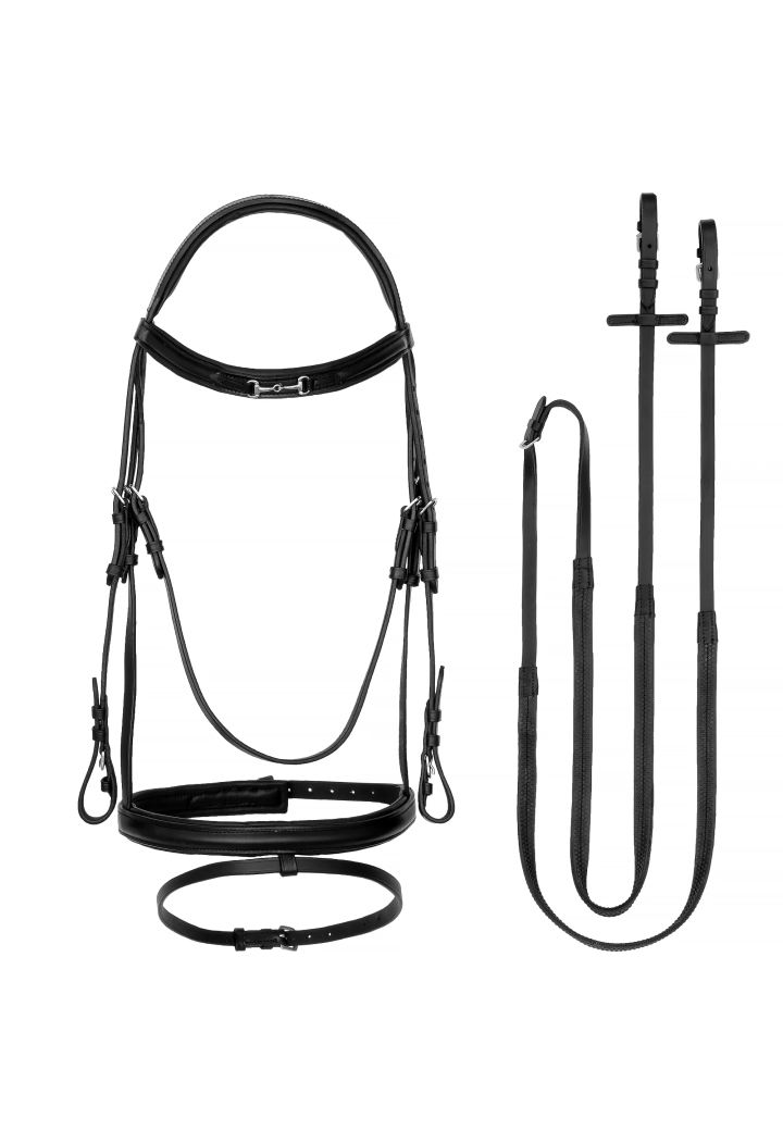 Bridle START Mercury