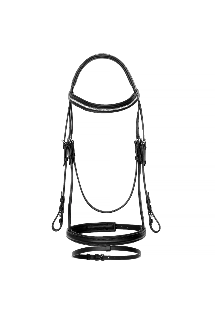 Bridle START Lavinia