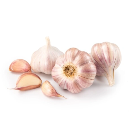 Garlic EQUIHERBS granulated powder