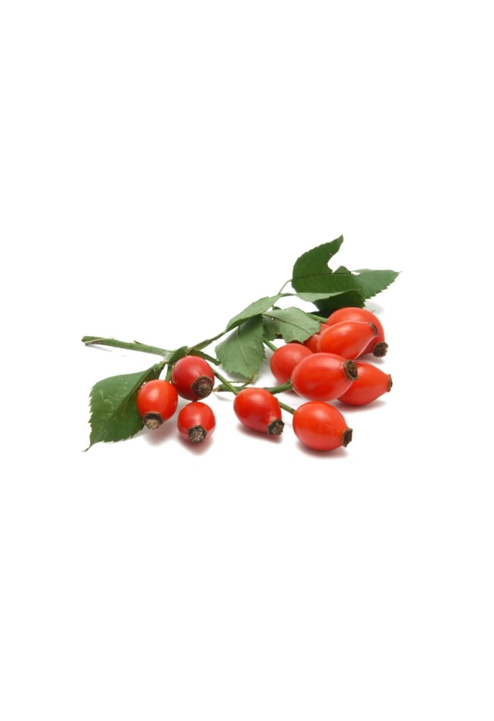 Wilde Rose EQUIHERBS