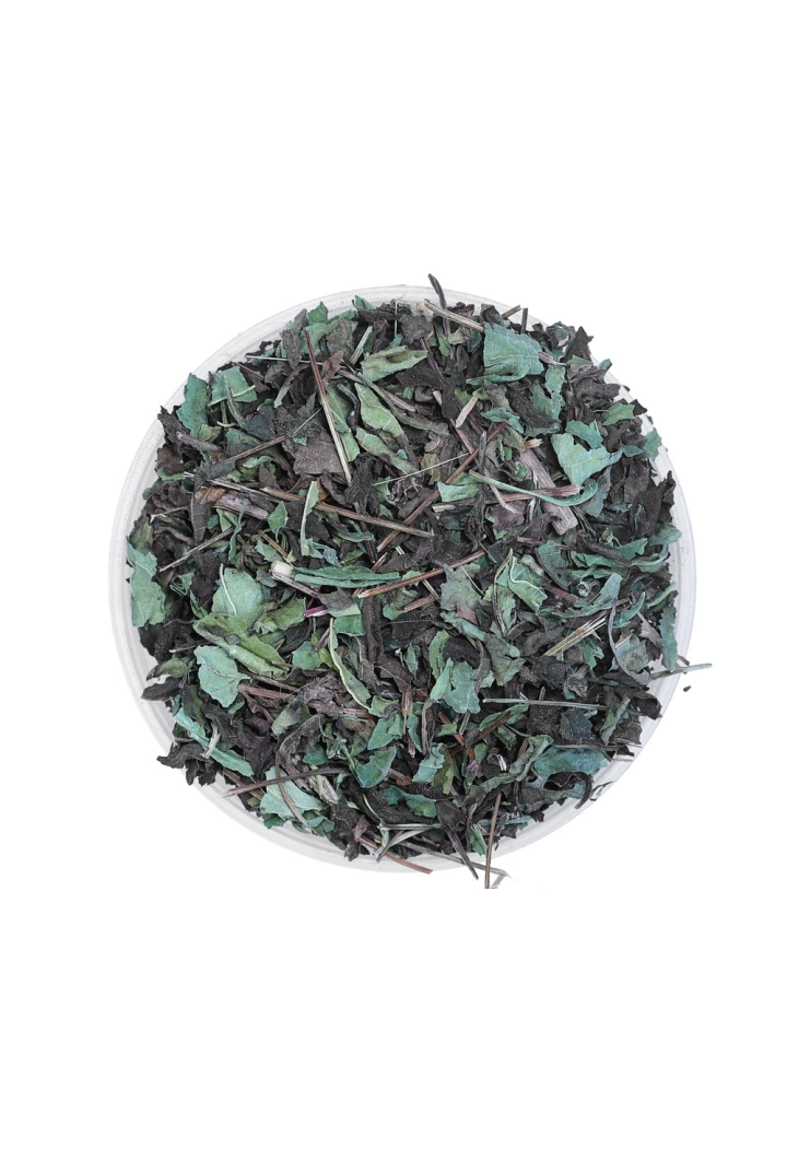 Echinacea diccupine EQUIHERBS