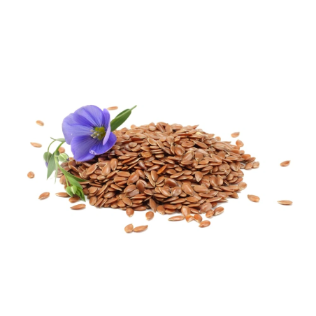 Linseed EQUIHERBS