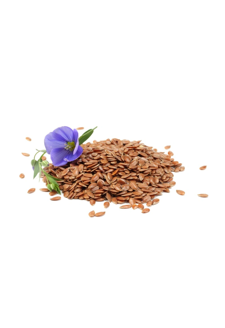 Leinsamen EQUIHERBS