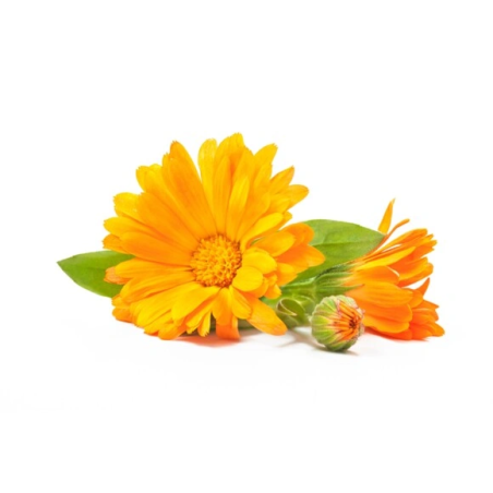 Fiori di calendula EQUIHERBS