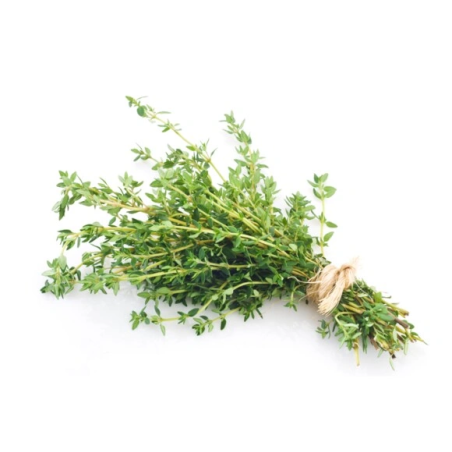 Thyme EQUIHERBS