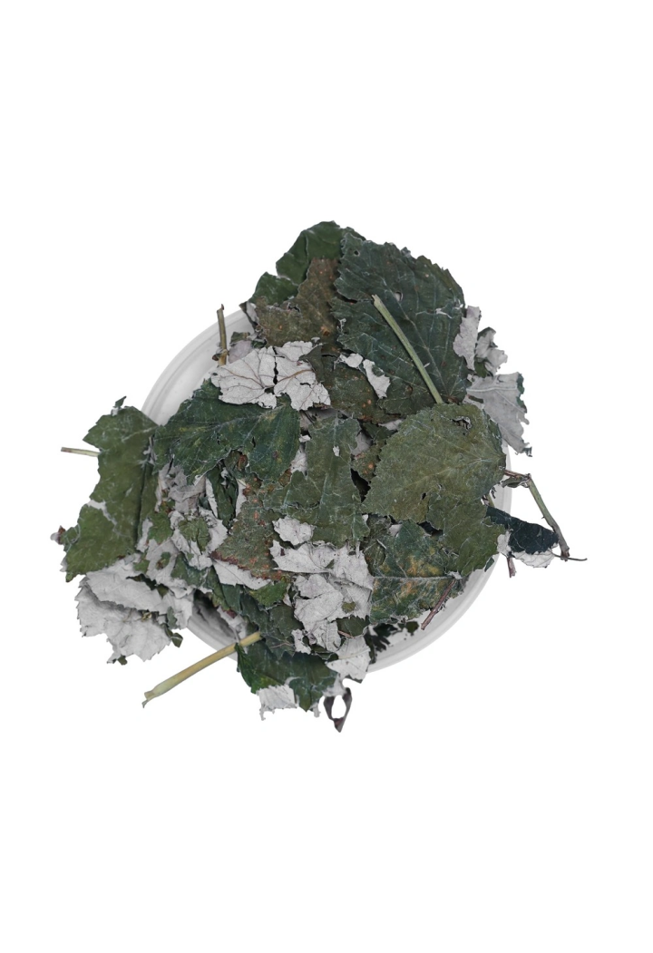Raspberry leaf EQUIHERBS