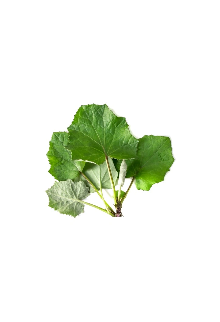 Farfara foglia EQUIHERBS