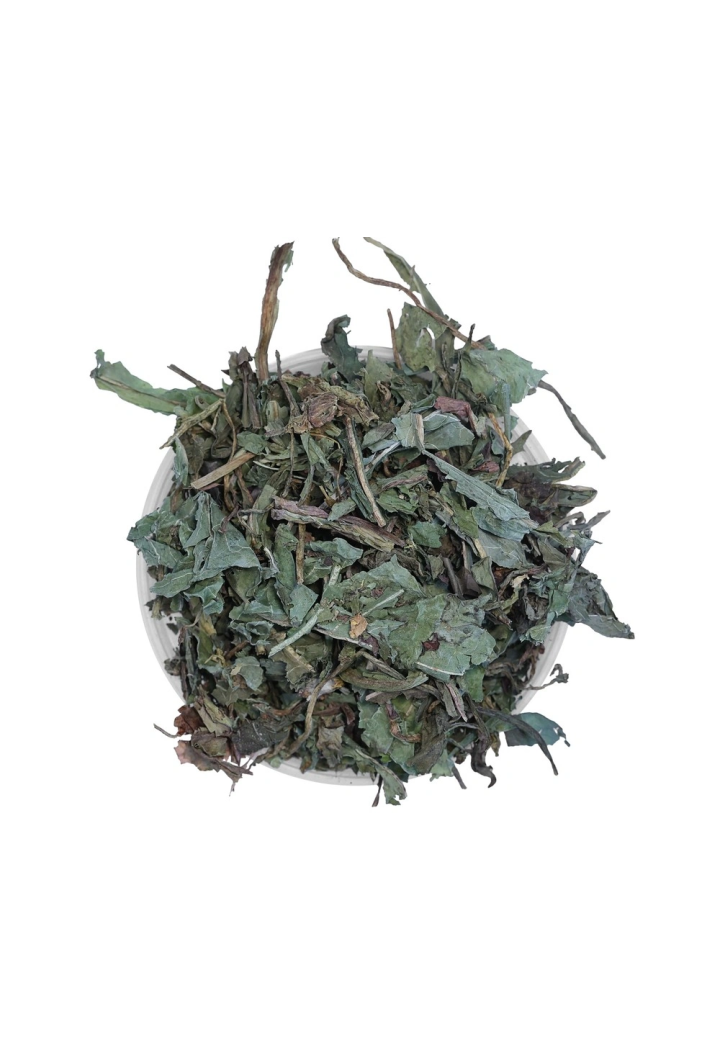 EQUIHERBS dandelion