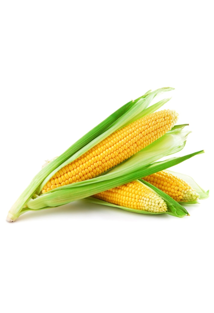 Corn oil EQUIHERBS