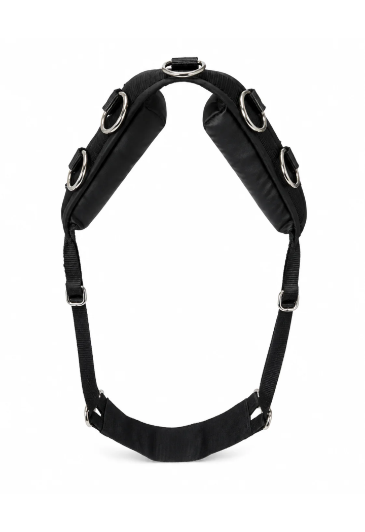 MUSTANG Loncing Belt mit Kork ausgekleidet mit Leder