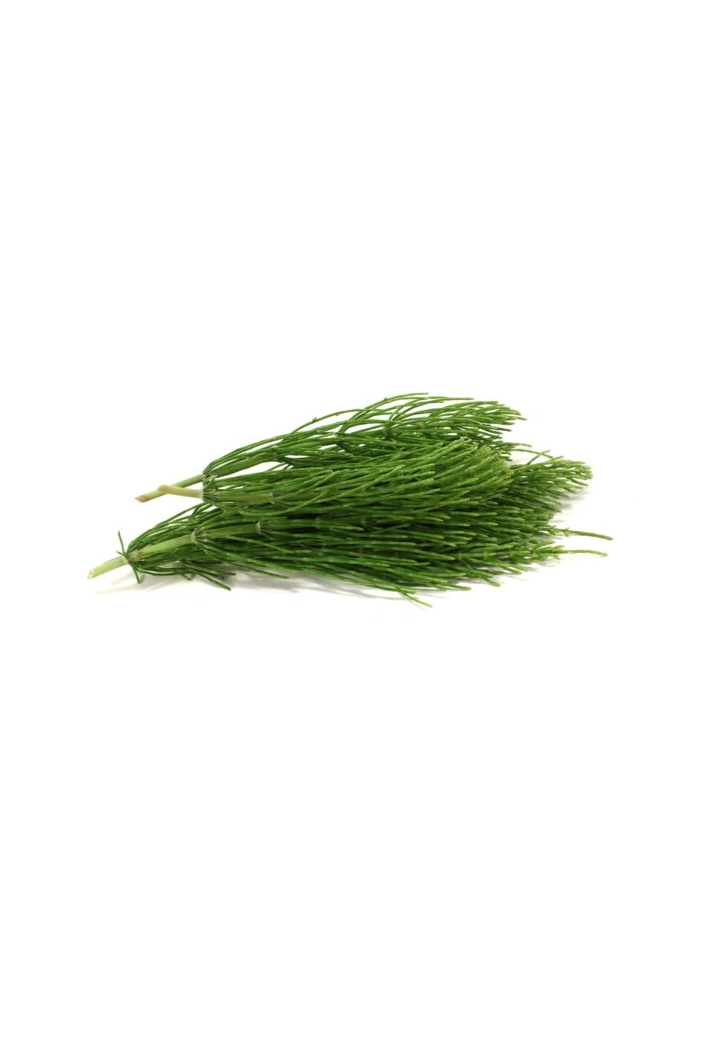 Field horsetail EQUIHERBS