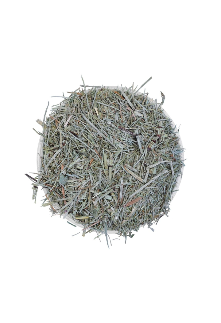 Equiseto EQUIHERBS