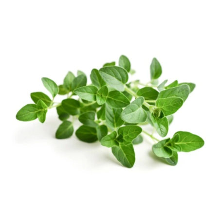 Oregano EQUIHERBS