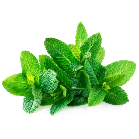 Mentă EQUIHERBS