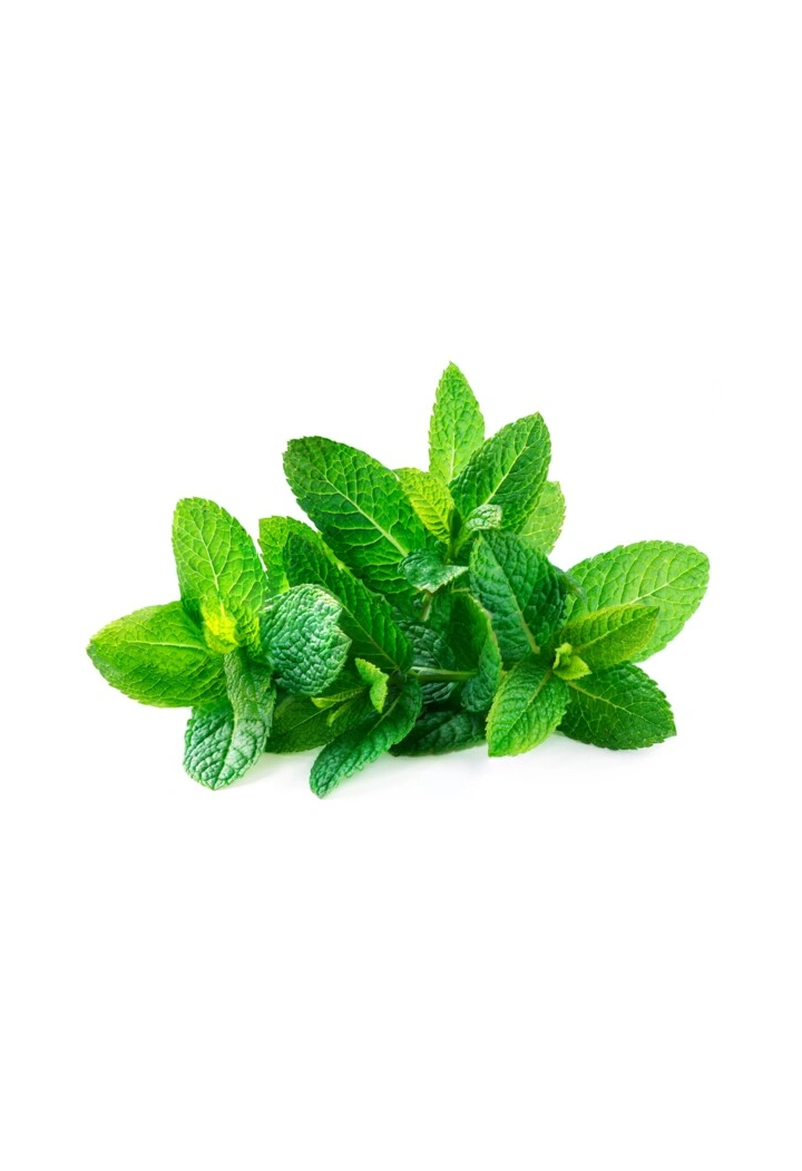 EQUIHERBS Minze