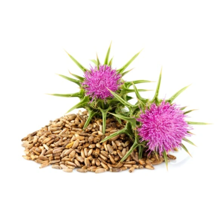 EQUIHERBS aufspüren ostropest