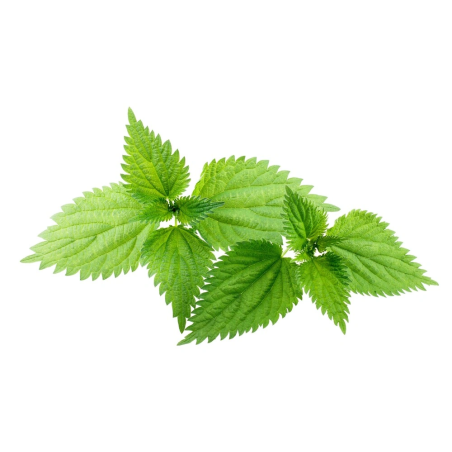 Curbură comună EQUIHERBS