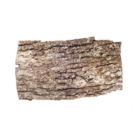 EQUIHERBS geschnittene Eichenrinde