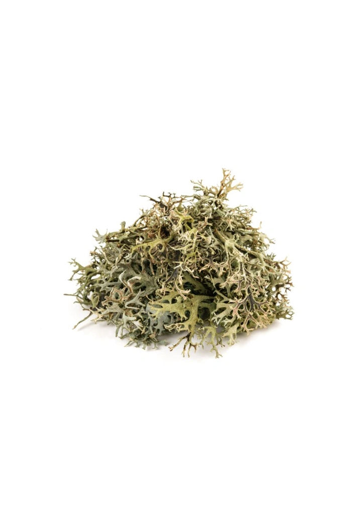 Icelandic lichen EQUIHERBS