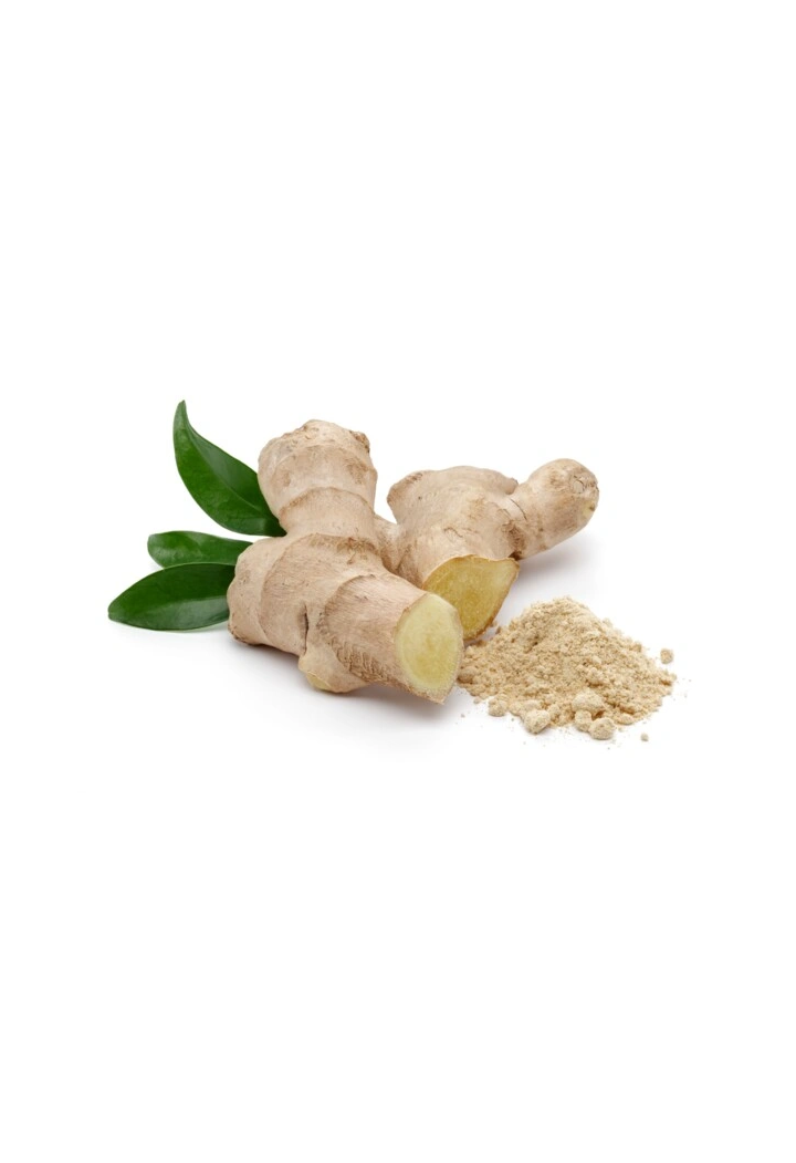 Ginger la sol EQUIHERBS