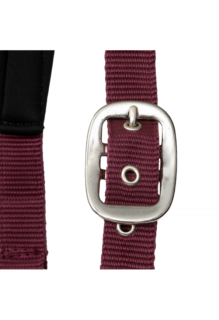Headcollar START Neoprene Glitter 2tone