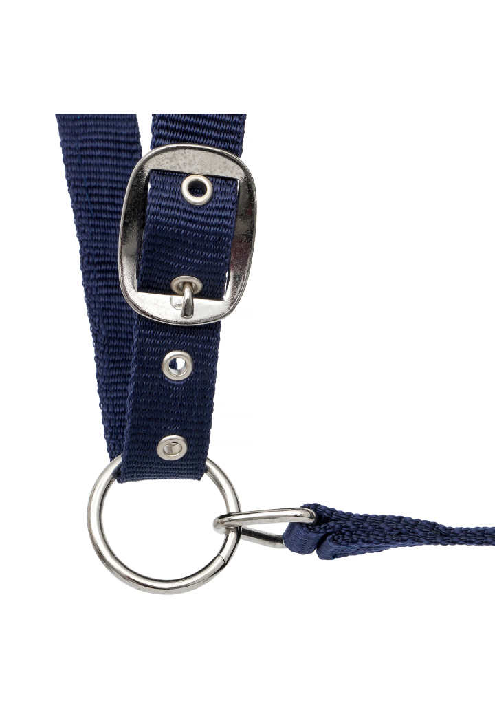 Cavezza START Neoprene Glitter 2 tono