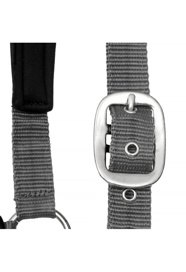 Cavezza START Neoprene Glitter 2 tono