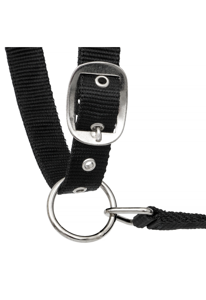 Headcollar START Neoprene Glitter 2tone