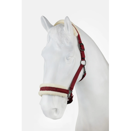 Cavezza HORZE Howard 26AW