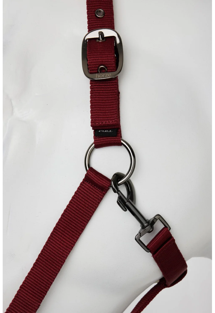 Cavezza HORZE Howard 26AW