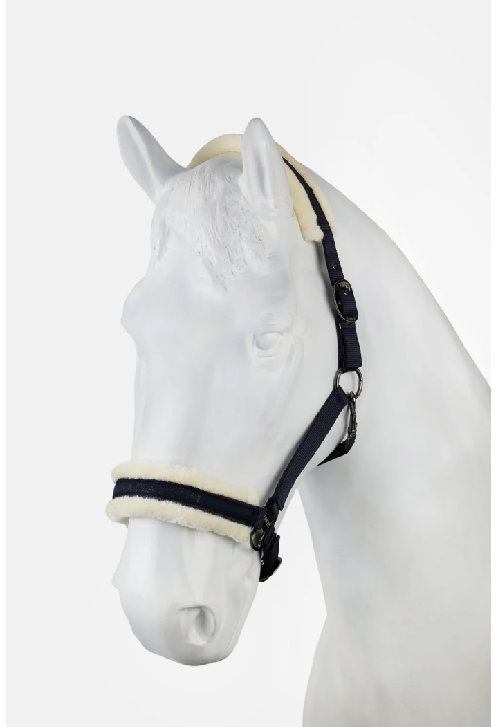 Headcollar HORZE Howard 26AW