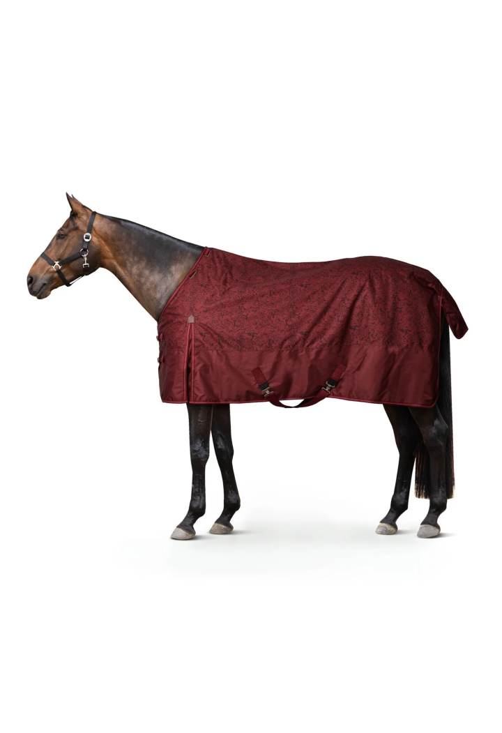 Turnout rug HORZE Glasgow 200g 26AW