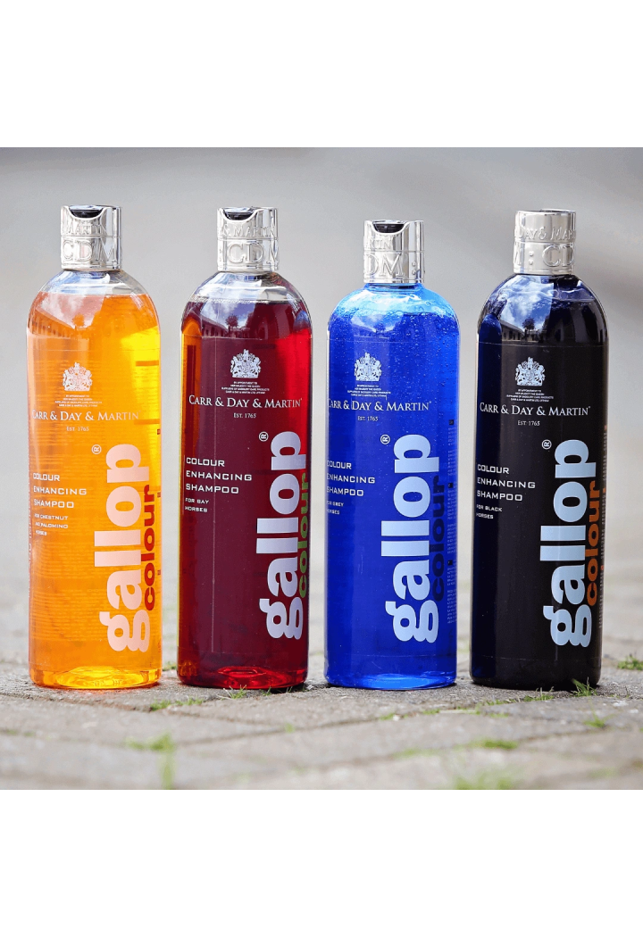 C&D&M Gallop Shampoo