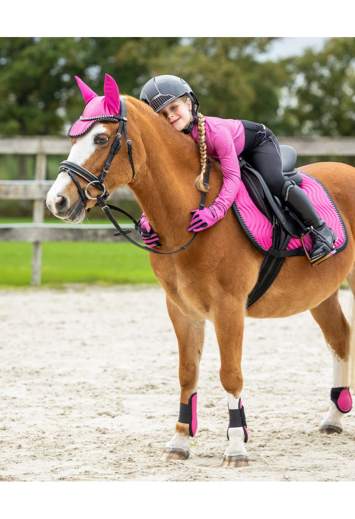 Bridle for QHP Isalyn