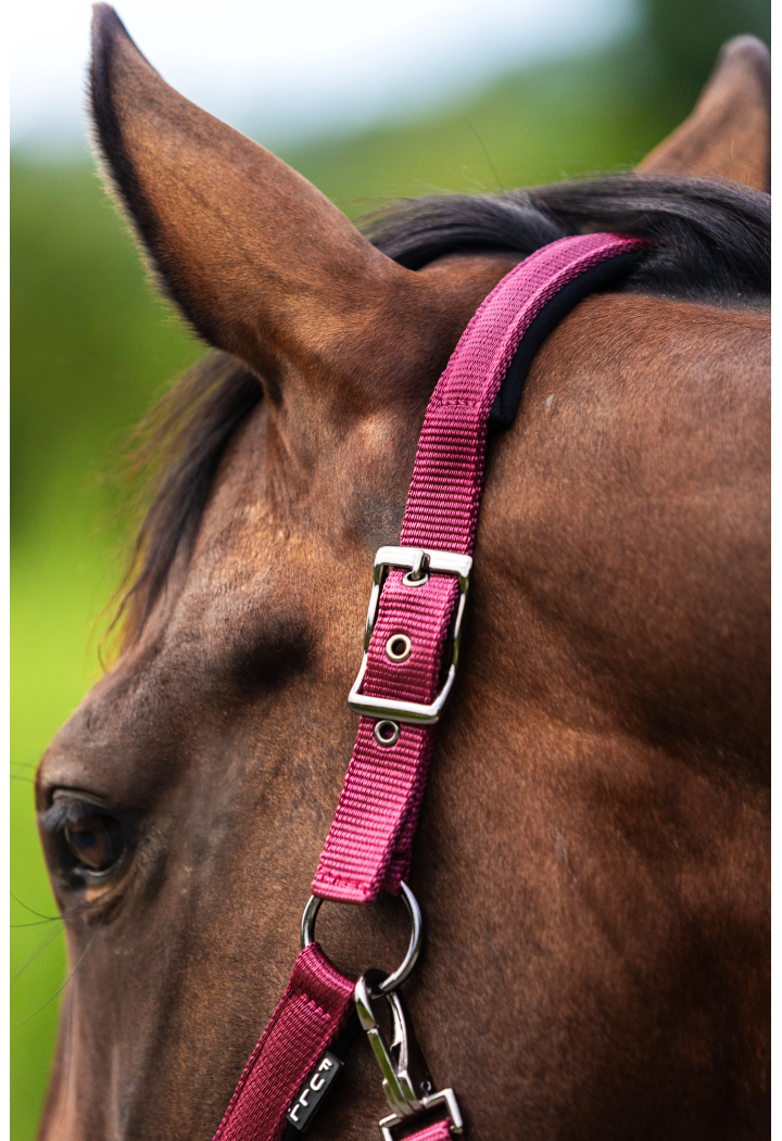 Headcollar START Satin