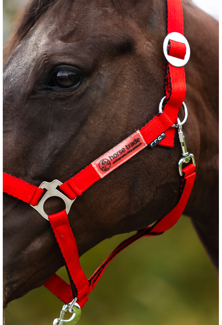 HORSE-TRADE Soft Neon headcollar