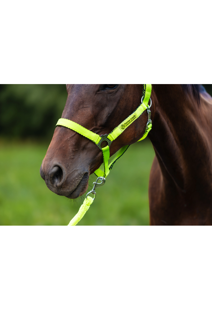 HORSE-TRADE Soft Neon headcollar