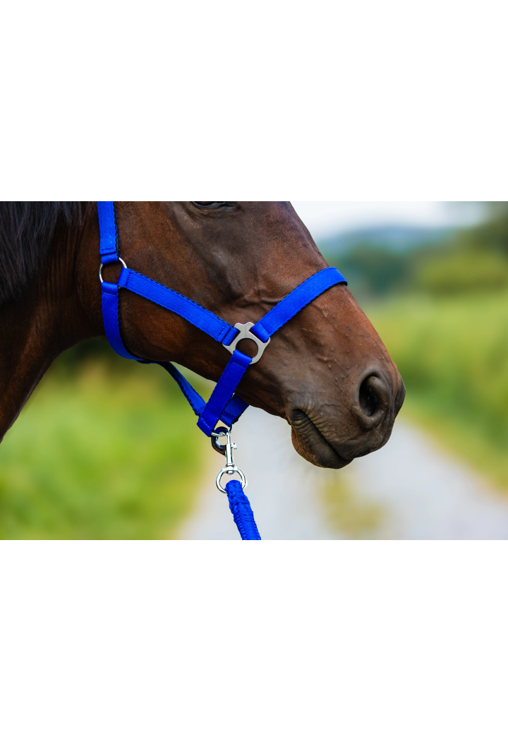 Ohlávka HORSE-TRADE Soft Neon