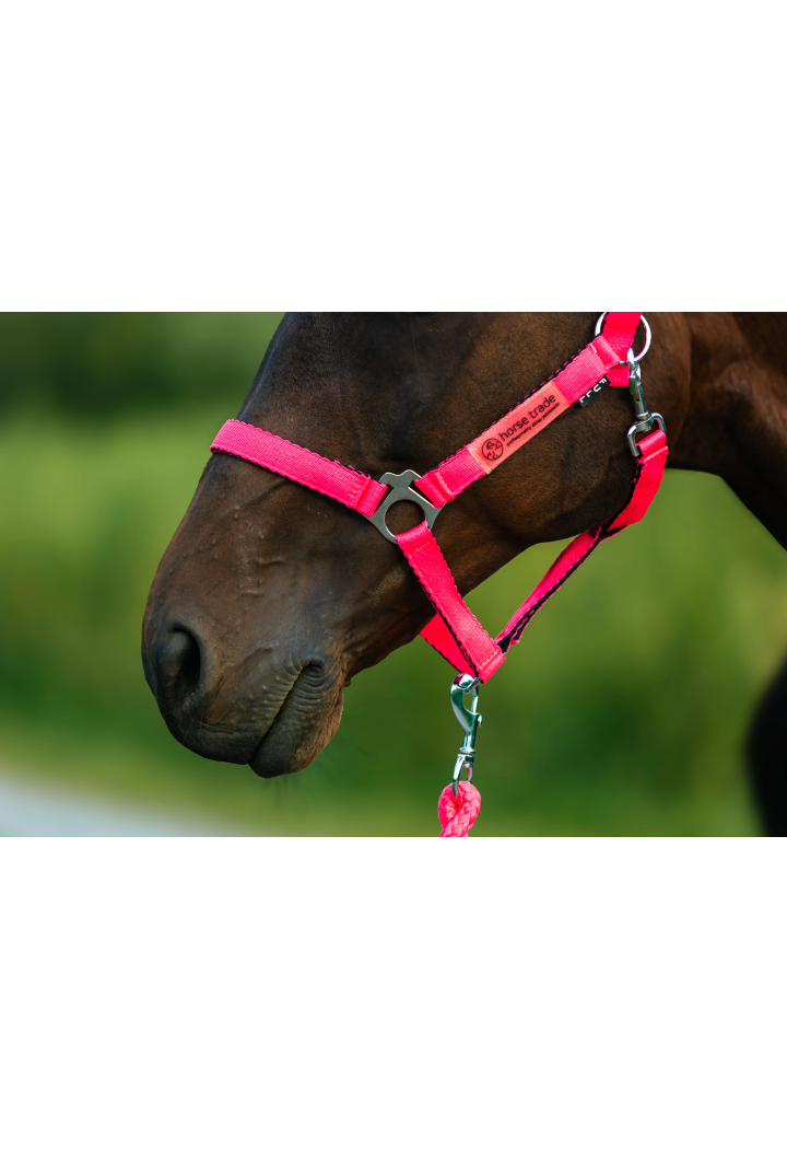 Ohlávka HORSE-TRADE Soft Neon